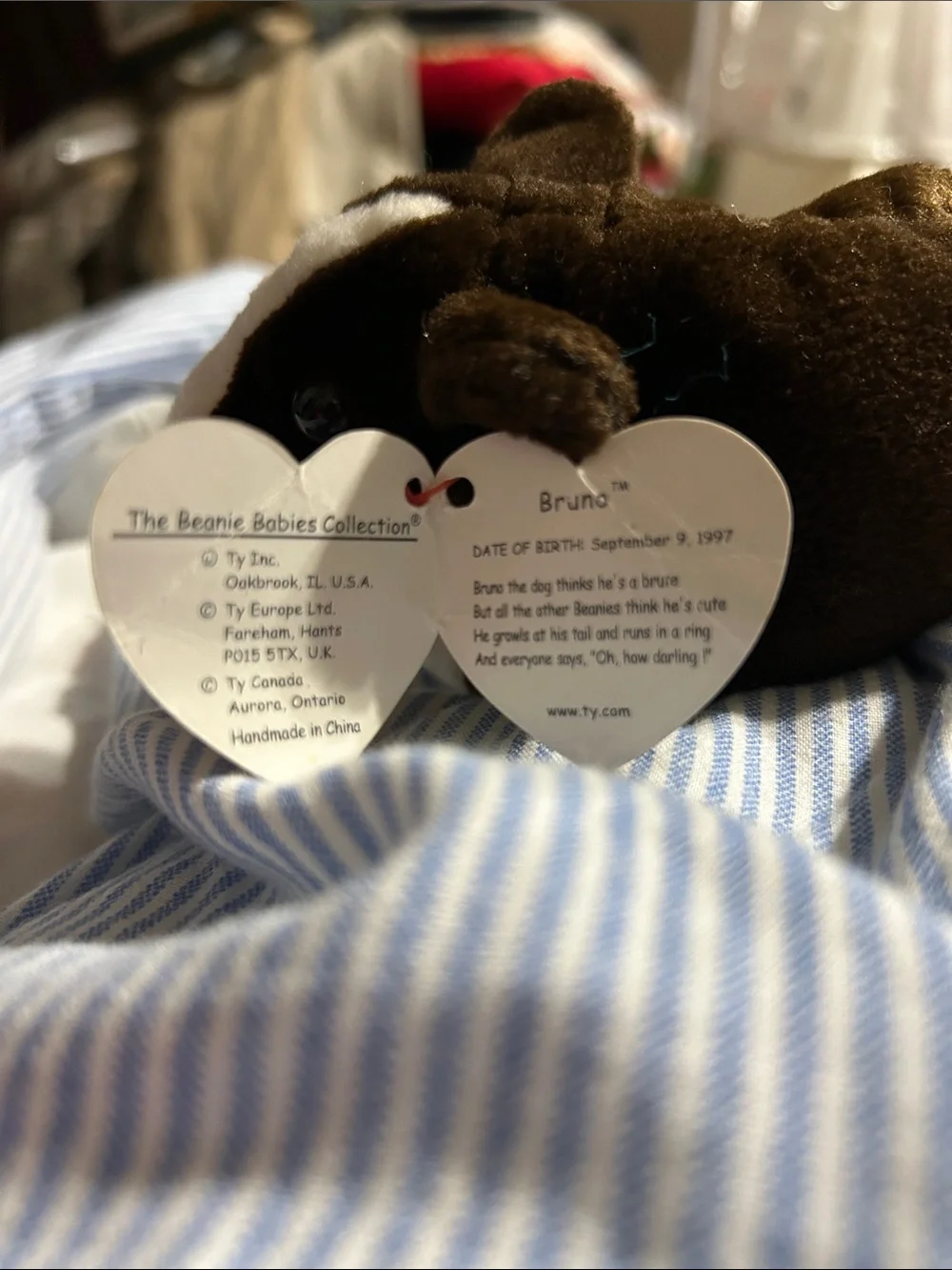 Ty Plush Guinea Pig in Brown and White with Heart Tag